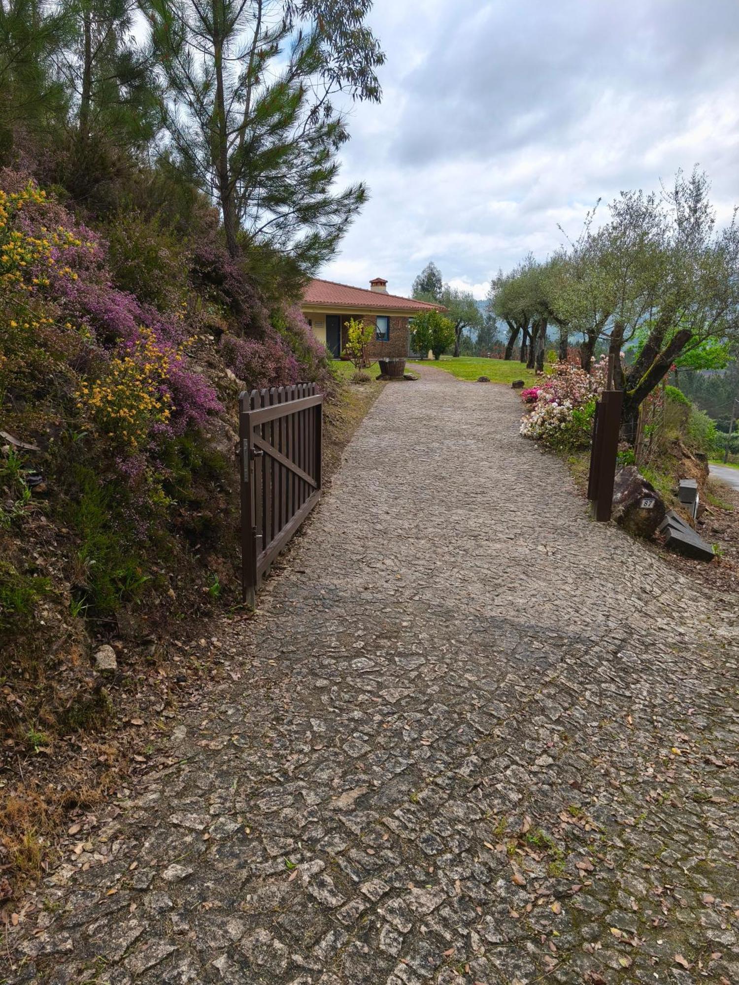 Boavista Country Houses No 87 Cabeceiras de Basto Eksteriør billede